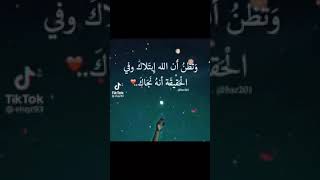 ربى اوزعنى ان اشكر نعمتك التى انعمت على سورة الاحقاف