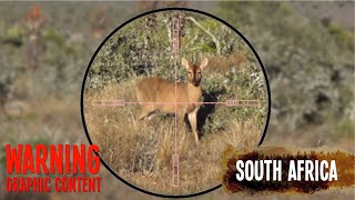 FX Impact Airgun Duiker Hunt - South Africa