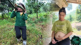 Single Mom's Daily Life: #5 Days Pregnant Mom Makes Bamboo Bed - Taking Care of Sick Daughter