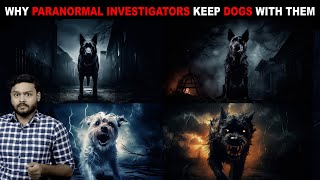 Why Paranormal Investigators Keep Dogs With Them? Mystery of the Paranormal - Horror Episode