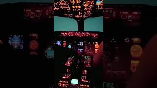 Boeing737 Zero Visibility Landing | Cockpit View of a CAT III Landing #landing #zerovisibility