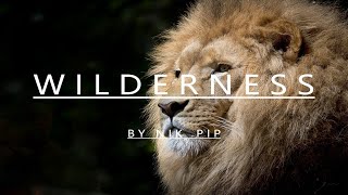 Wilderness (Original)