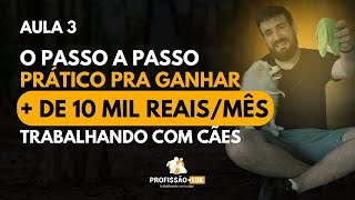 Aula 3 de 4 - O passo a passo prático para ganhar 10 mil reais por mês trabalhando com cães