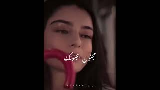 ١١ نوفمبر، ٢٠٢٤