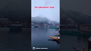 Dal Lake,Kashmir #shorts #viral #youtubeshorts #incredibleindia #kashmir #kashmirinwinters