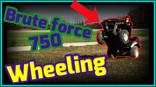 Balade en Quad - Brute force Kvf 750 wheeling teste