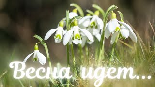 ВЕСНА ИДЕТ!🌸 Теплые весенние пожелания