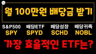 배당금 월 100만원 받기, 배당주ETF 대결!  SCHD 우승일까?