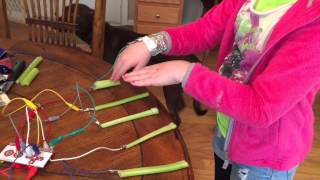 A Celery Piano with the Makey Makey