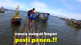 PANEN STRIKE IKAN TALANG TALANG SEBAGIAN LANGSUNG DIMASAK