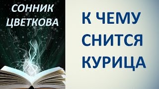 К чему снится курица. Сонник Цветкова. Толкование снов.