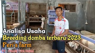 Analisa Usaha Breeding Domba Terbaru di Feri's farm || Sistem tanpa ngarit & angon untung besar 🤩🤩