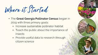 The Great Florida Pollinator Census