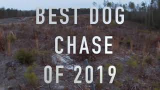 DEER DRIVES BEST OF 2019/2020 HUNTING SEASON