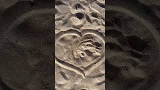 heart of sand #shorts #amazing #tiktok #shortvideo