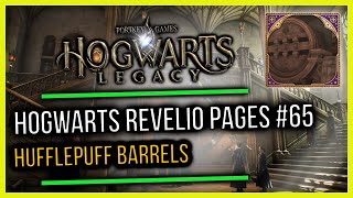 Hogwarts Castle Field Guide Revelio Pages #65 Hufflepuff Barrels