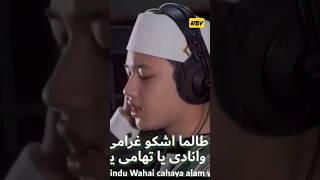 Habib Alwi Assegaf ll Tholama Asku qhoromi#sholawatan#habobalwiassegaf#short