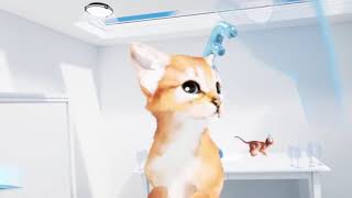 Come play Kitten @ Evolution VR