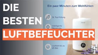 Die 12 besten Luftbefeuchter