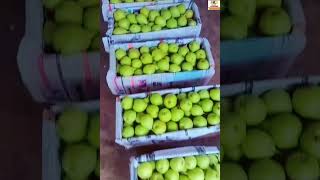 #Today's nakh pear market update in mumbai mandi#reels