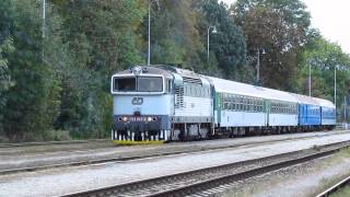 Brejlovec  754 042 na R 663 v Třebíči - 26.9. 2013