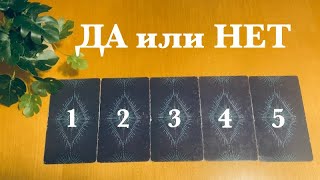 ДА или НЕТ🎲