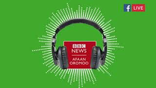 Oduu BBC Afaan Oromo Galgala Robii 2 February 2022