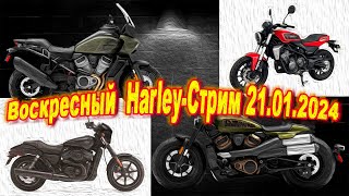 Воскресный Harley-Стрим 21.01.2024.Фоновая тема -Спорные и нетипичные модели Harley-Davidson!