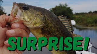 Texas BASS FISHING - Not what we planned