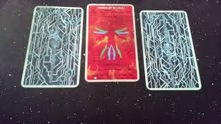 3-card readings 08/16/2024