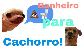 veja só este banheiro pra cachorro