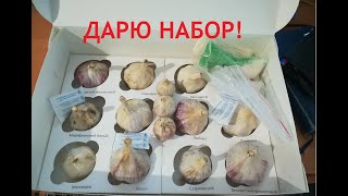 Розыгрыши генеральских наборов опять с нами=)