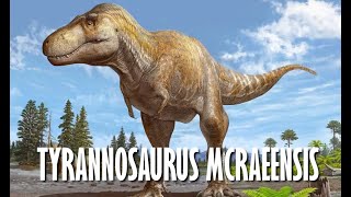 A new species of Tyrannosaurus has been named!