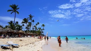 Punta Cana Dominican Republic In 4K | Resort, Wildlife, Ocean, Landscape