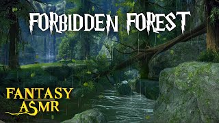 🌲Ambience ASMR | Forbidden Forest🌳 Rain on Soil, Owl, Thunder (⚡Harry Potter Inspired ASMR⚡)