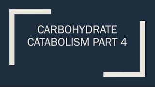 Carbohydrate Catabolism Part 4