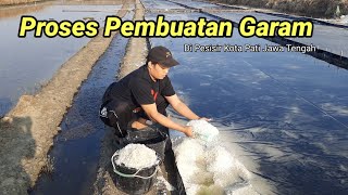 Proses Pembuatan Garam Langsung Di Tambak