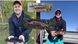 Catching Lots of Rainbow and Brook Trout in New England (Rhode Island and Connecticut)