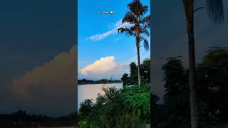 Peace | 4K | Nature | River | Green | Mymensingh