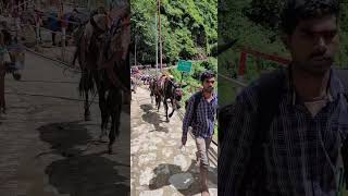 Khachharo Par Naali Lag Chuki Hai Kedarnath Dham Yatra 2024 Ke Liye | Jai #KedarBaba #KedarnathDham