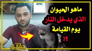 ماهو الحيوان الوحيد الذي يدخل النار يوم القيامة⁉️ ومن المرأة التي تدخل النار وهي تضحك⁉️🤔