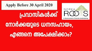 പ്രവാസികൾക്ക് NORKAയുടെ ധനസഹായം, എങ്ങനെ അപേക്ഷിക്കാം? How to Apply for NORKA COVID Support.