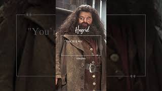 ✨😎Rubeus Hagrid #harrypotter #movie #wizardingworld #motivation #history #viralvideo #shorts