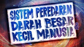 Sistem Peredaran Darah Besar & Kecil Manusia