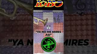 #Shorts Lobo "Ya No Me Mires Asi"