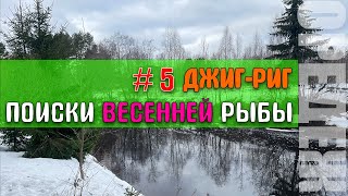 #5 Джиг-риг | поиски весенней рыбки |  Daiwa NINJA Z 602ULFS-ST 1-6гр.  #стритфишинг, #дропшот