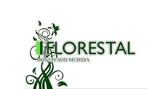 Florestal Móveis sob medida no Programa Cidade Show