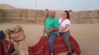 Titanic Camel Fail 😂😂😂😂