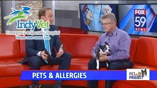 Pets & Allergies