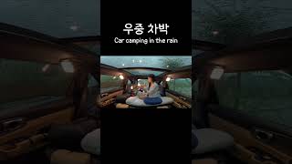 폭우 속 차안에서. Car camping in the heavy rain